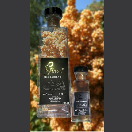 GINOA London Dry Gin