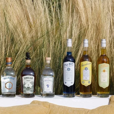 Gin - Pastis - Absinthe - Whisky - Liquoristerie de Provence