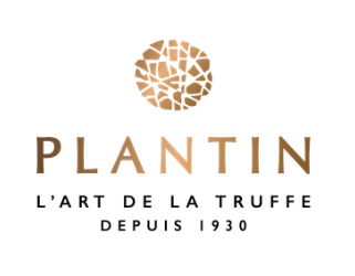 Trüffel - Plantin
