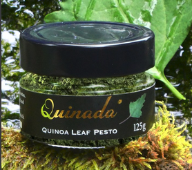 QUINADA - Pesto aus Quinoa-Blättern