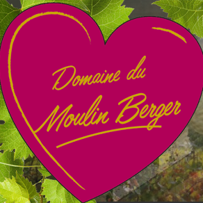 Beaujolais - Domaine Moulin Berger